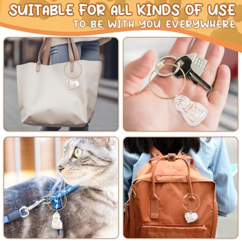 Portachiavi Ricordo per Pelo di Gatto – Set 6 Capsule con Pinzette e Pettine